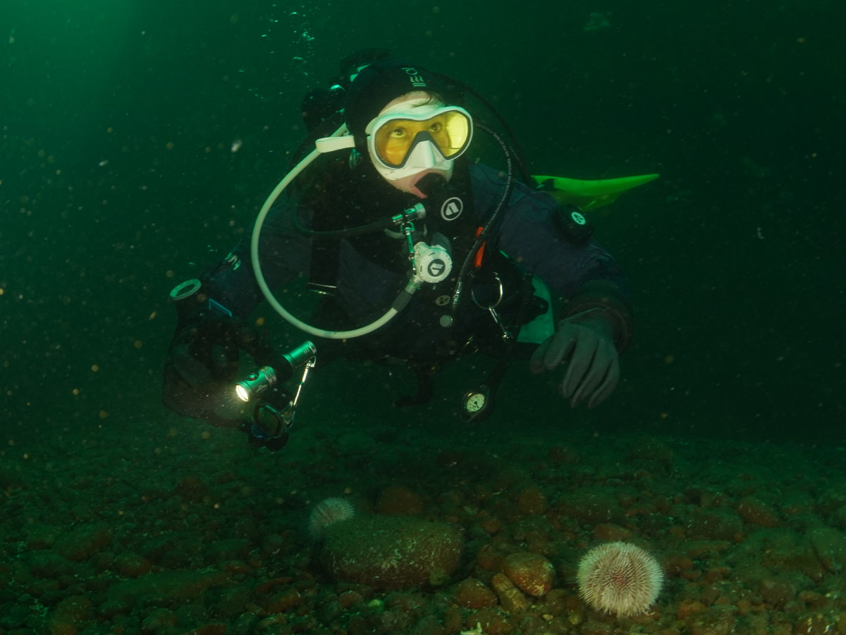 Diver near the ocean floor wearing a dry suit