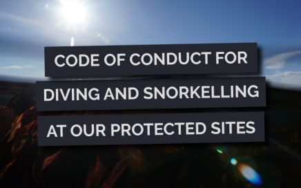 Code of conduct for diving and snorkelling at protected sites