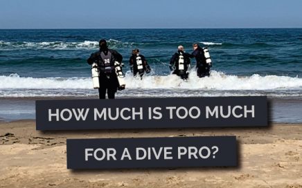 How much is too much for a dive pro?