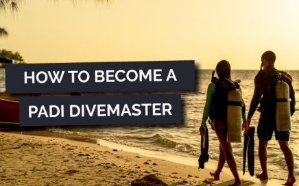 How to become a PADI Divemaster