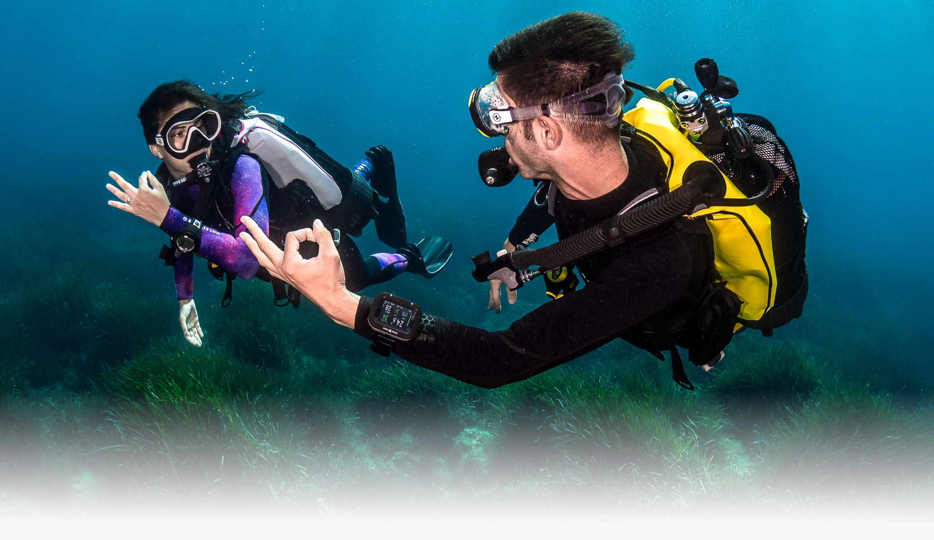 Become a PADI Instructor, take your PADI Instructor Course