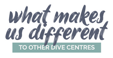 What makes The Fifth Point different to other dive centres?