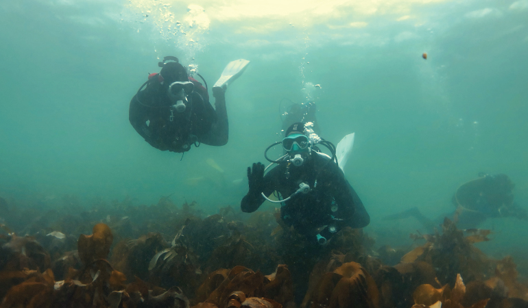 The buddy system for scuba diving