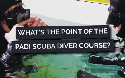 What's the point of the PADI Scuba Diver Course?